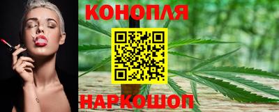 крисы Кандалакша