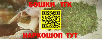 крисы Кандалакша