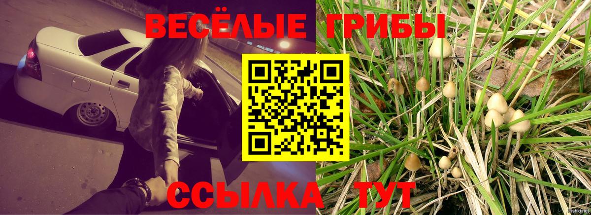 Галлюциногенные грибы MAGIC MUSHROOMS  Вход с VPN  Майкоп 