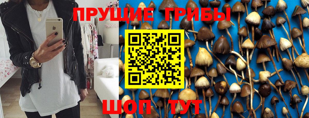 Галлюциногенные грибы Magic Shrooms Майкоп